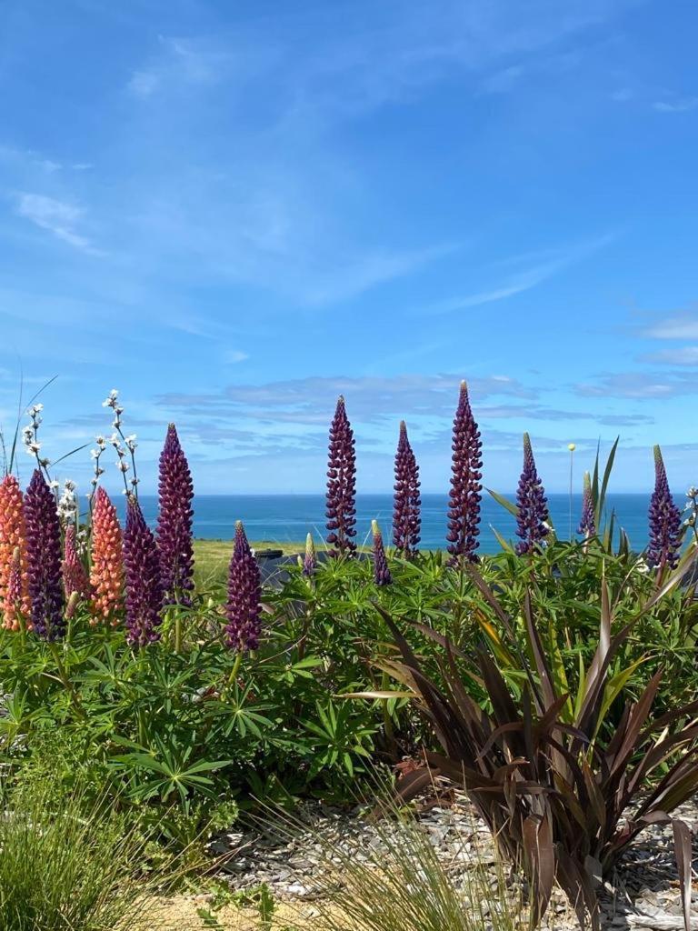 “The Cliffs” Humpridge View Motels Tuatapere Exteriör bild